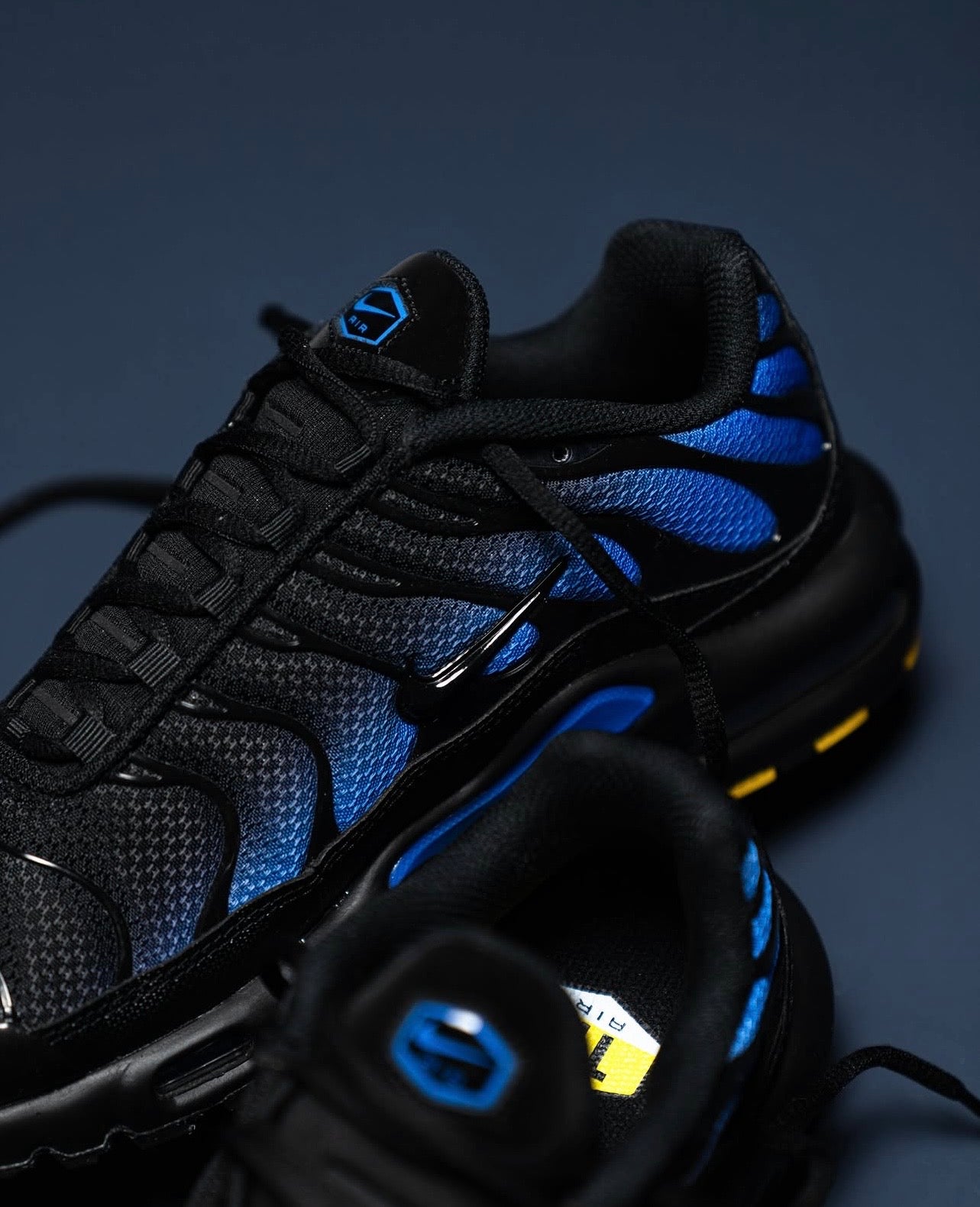 Nike Air Max Plus