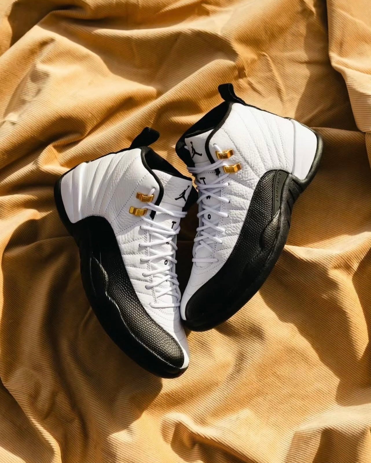 Air Jordan 12