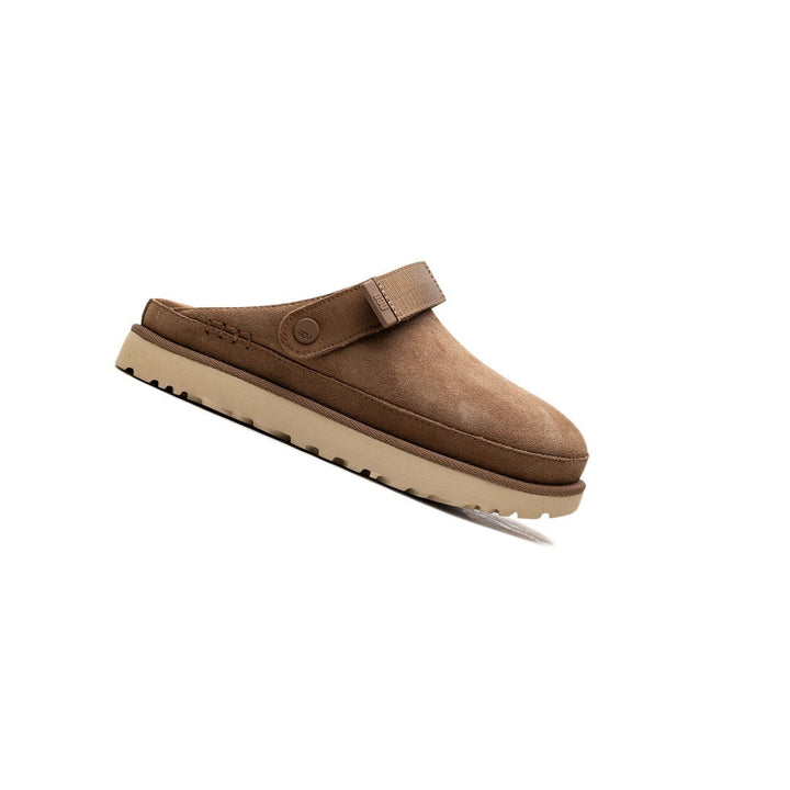 UGG GOLDENSTAR CLOG CHESTNUT (WOMEN&