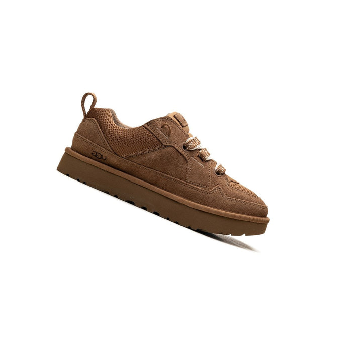 UGG LOWMEL LO CHESTNUT (WOMEN&