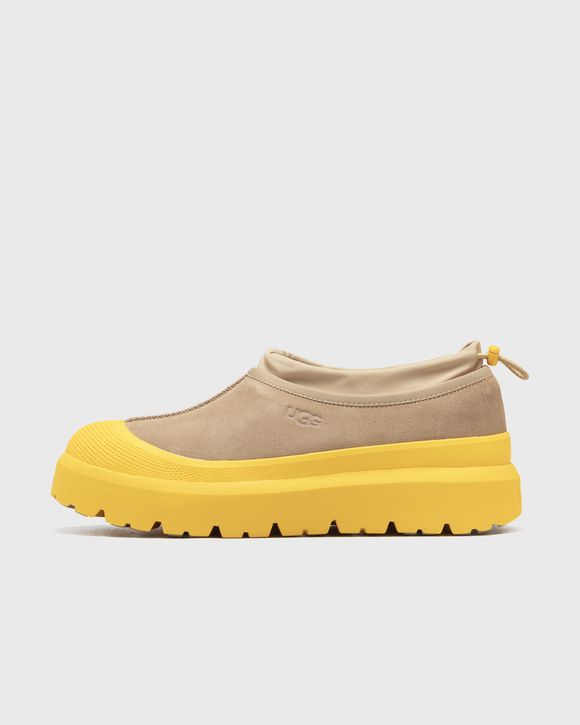 UGG TASMAN WEATHER HYBRID MUSTARD SEED SUMMER WHEAT
