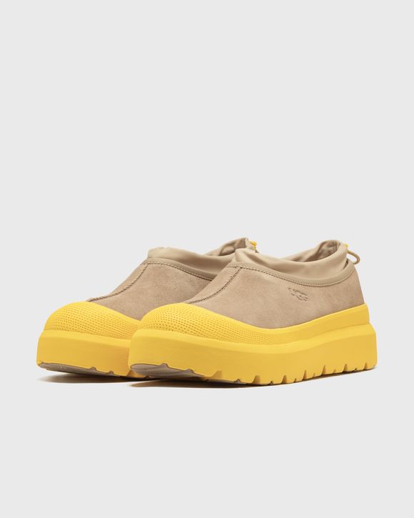 UGG TASMAN WEATHER HYBRID MUSTARD SEED SUMMER WHEAT