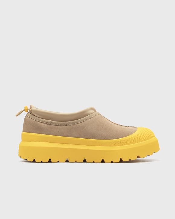 UGG TASMAN WEATHER HYBRID MUSTARD SEED SUMMER WHEAT