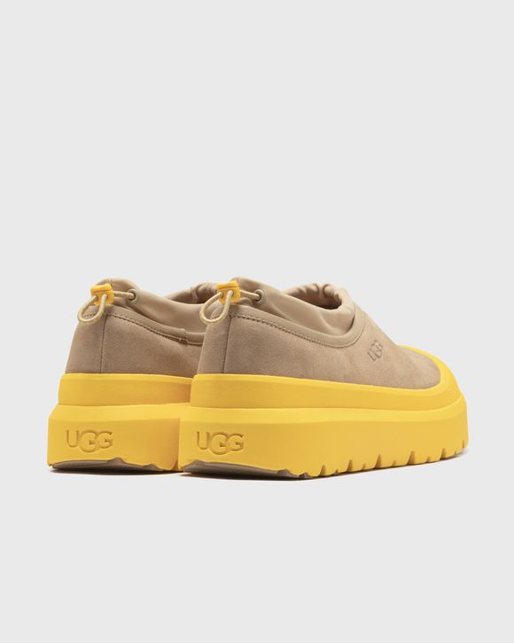 UGG TASMAN WEATHER HYBRID MUSTARD SEED SUMMER WHEAT