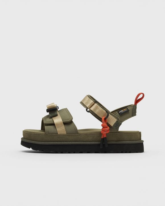 UGG W GOLDENSTAR WILDWOOD BURNT OLIVE