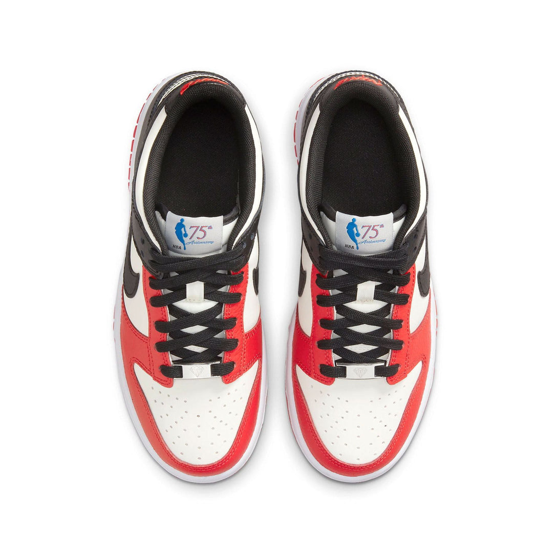 NBA X NIKE DUNK LOW EMB GS &
