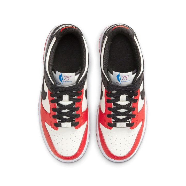 NBA X NIKE DUNK LOW EMB GS &