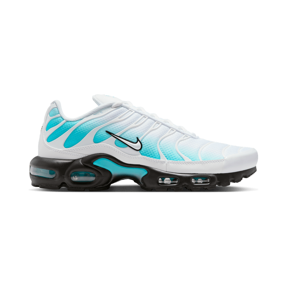 NIKE AIR MAX PLUS DUSTY CACTUS