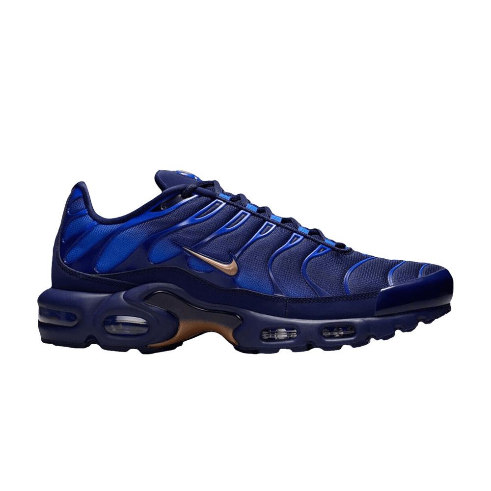 NIKE AIR MAX PLUS FRENCH FOOTBALL FEDERATION