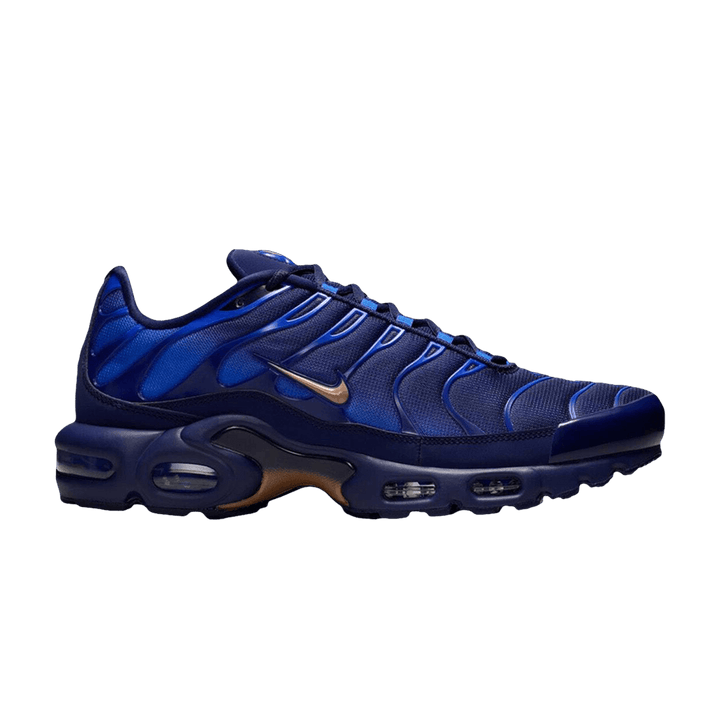 NIKE AIR MAX PLUS FRENCH FOOTBALL FEDERATION