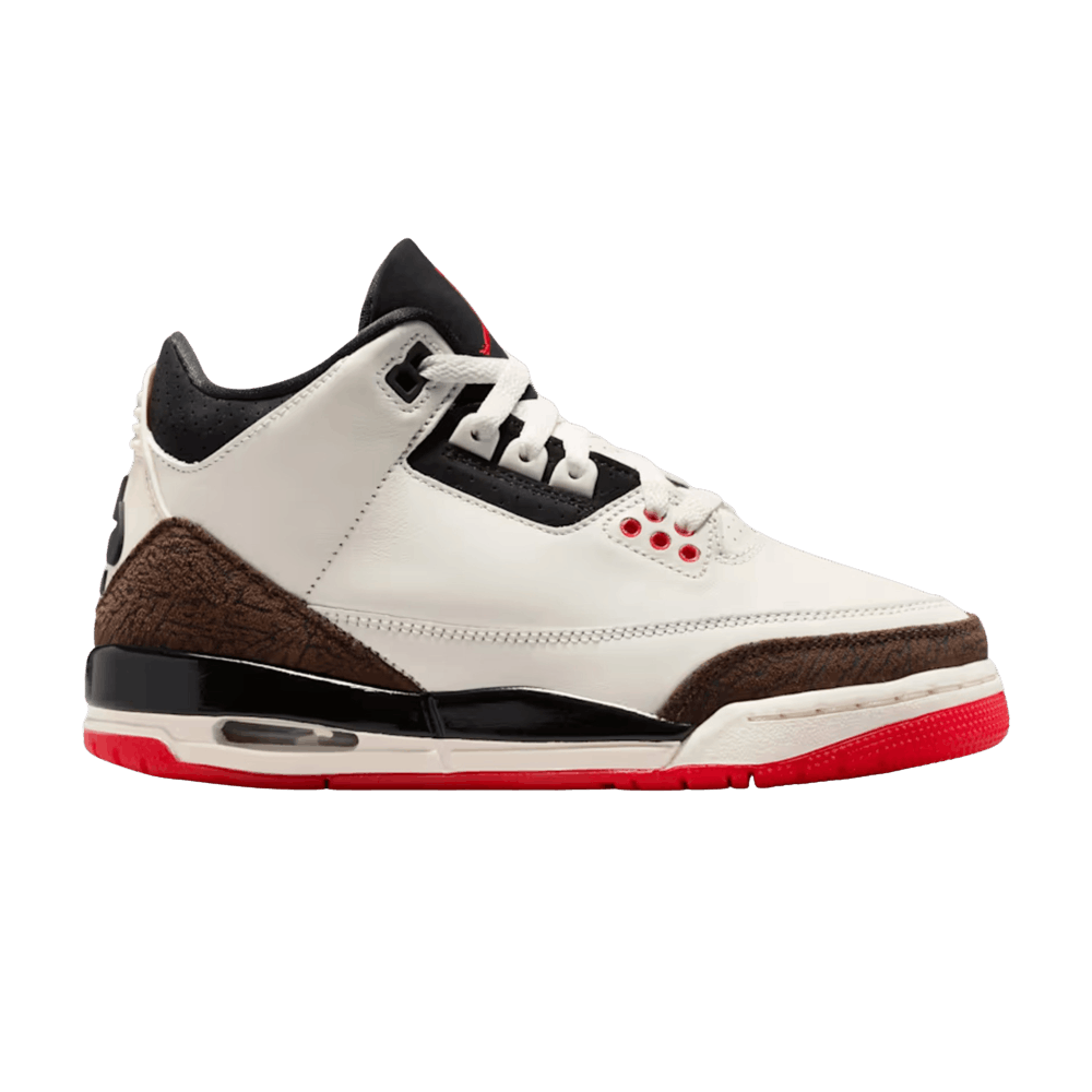 JORDAN 3 RETRO WORLD&