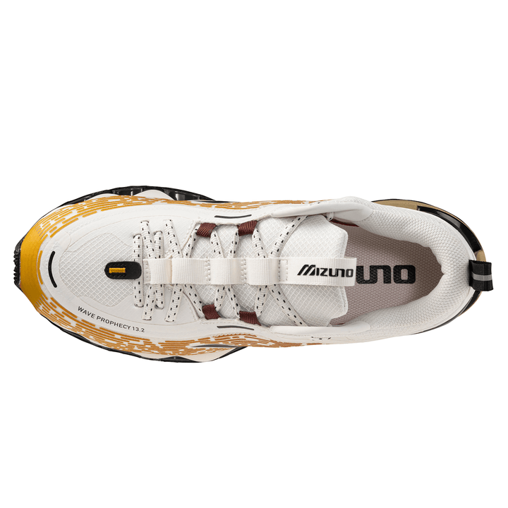 MIZUNO WAVE PROPHECY 13.2 &