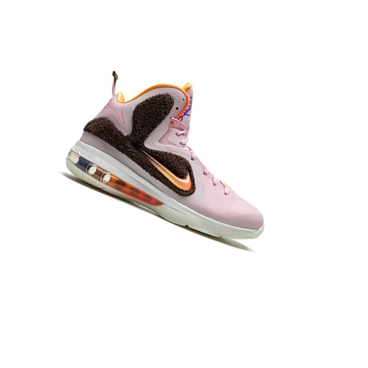 NIKE LEBRON 9 KING OF LA