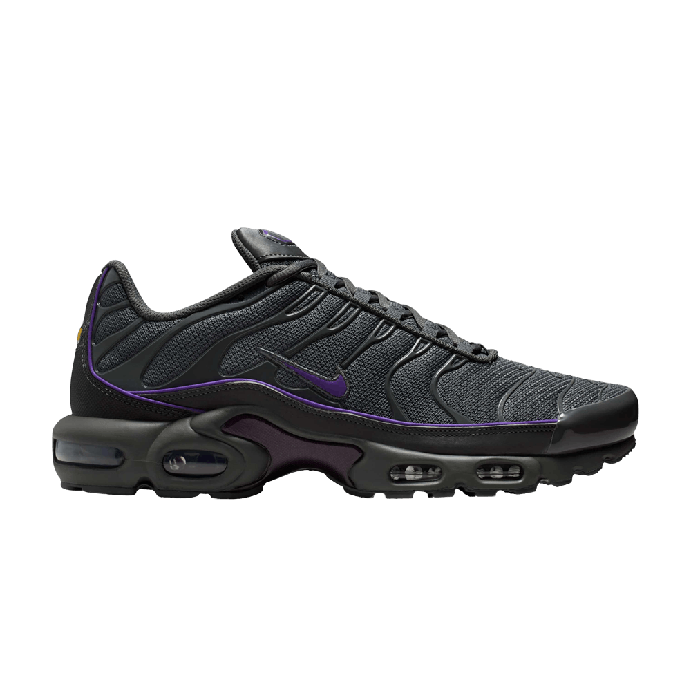 NIKE AIR MAX PLUS IRON GREY WILD GRAPE