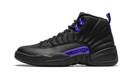 AIR JORDAN 12 DARK CONCORD