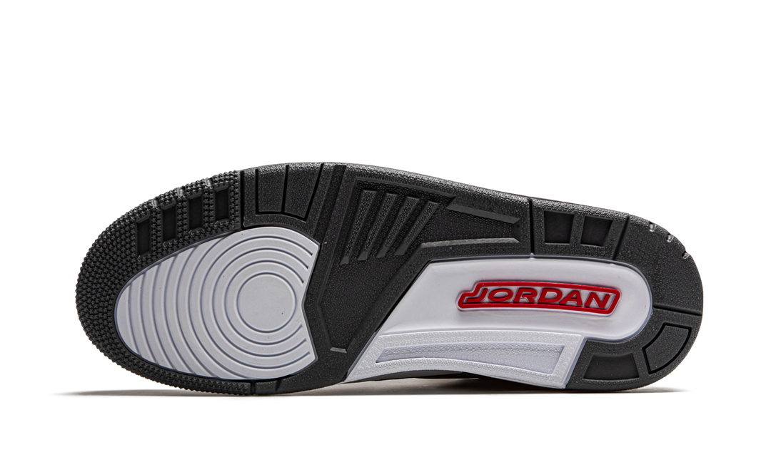 AIR JORDAN 3 RETRO COOL GREY 2021