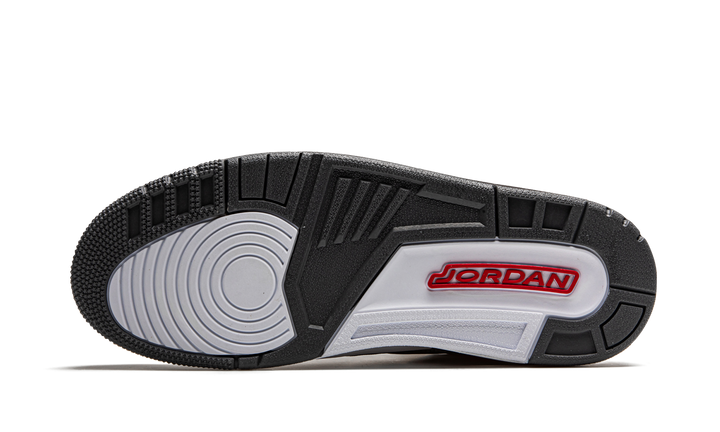 AIR JORDAN 3 RETRO COOL GREY 2021