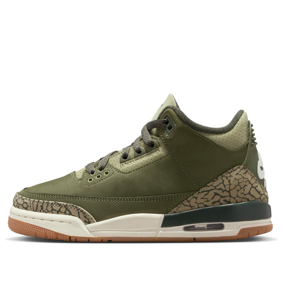 AIR JORDAN 3 RETRO FAMILY AFFAIR GS
