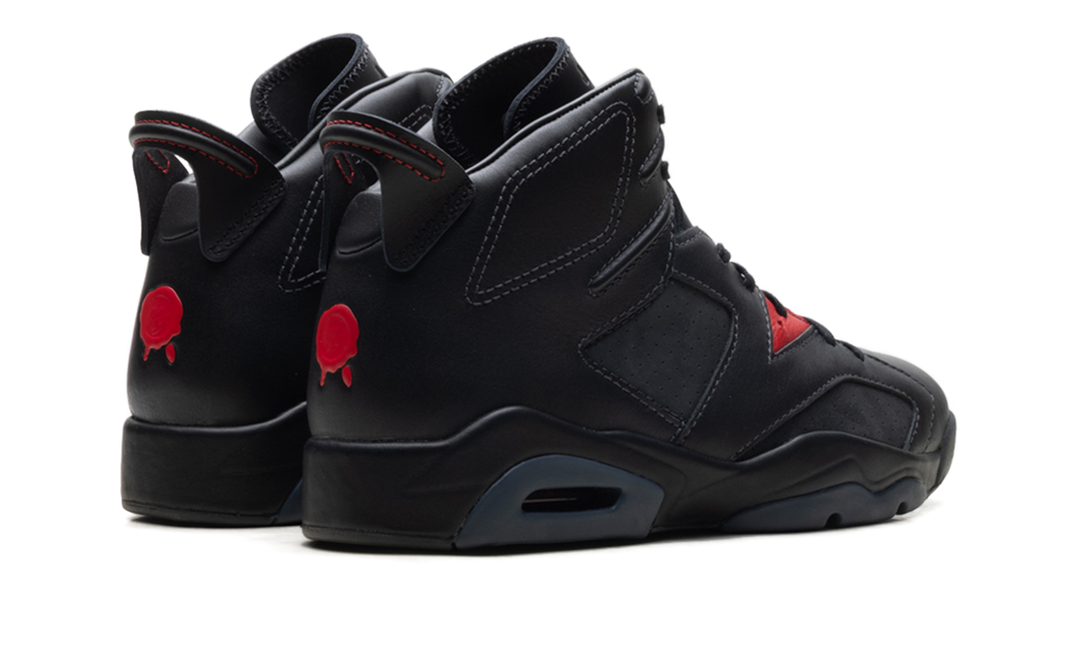 AIR JORDAN 6 RETRO PRM BIN23