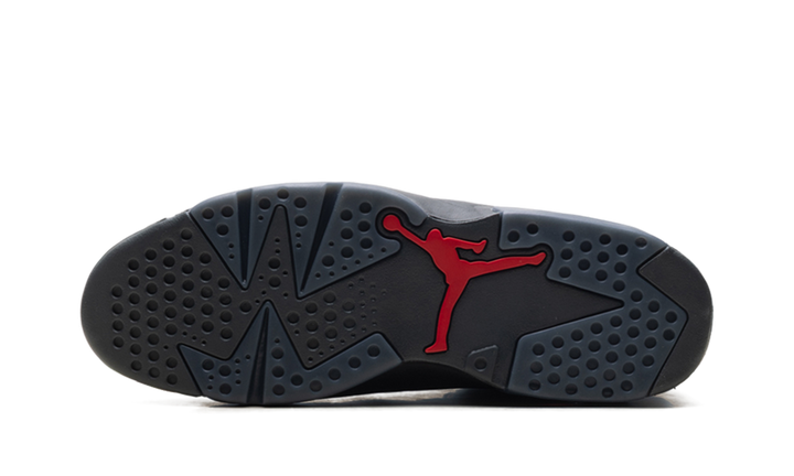 AIR JORDAN 6 RETRO PRM BIN23