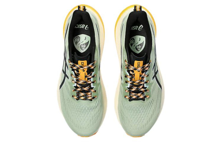 ASICS GT-2000 12 TR NATURE BATHING FELLOW YELLOW