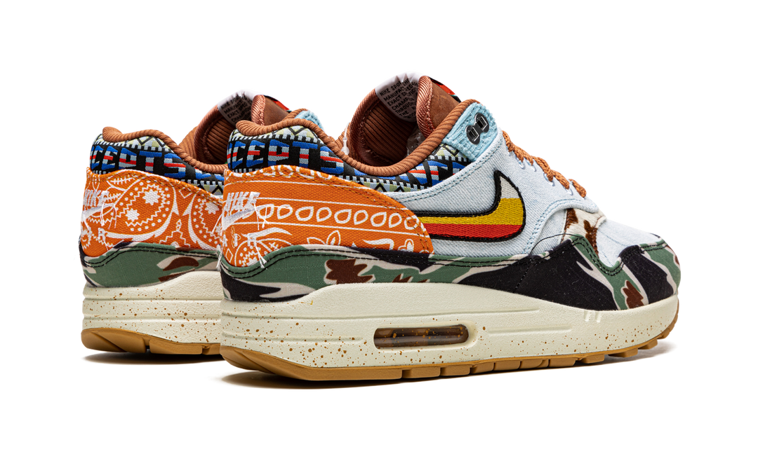 CONCEPTS X NIKE AIR MAX 1 HEAVY MULTI