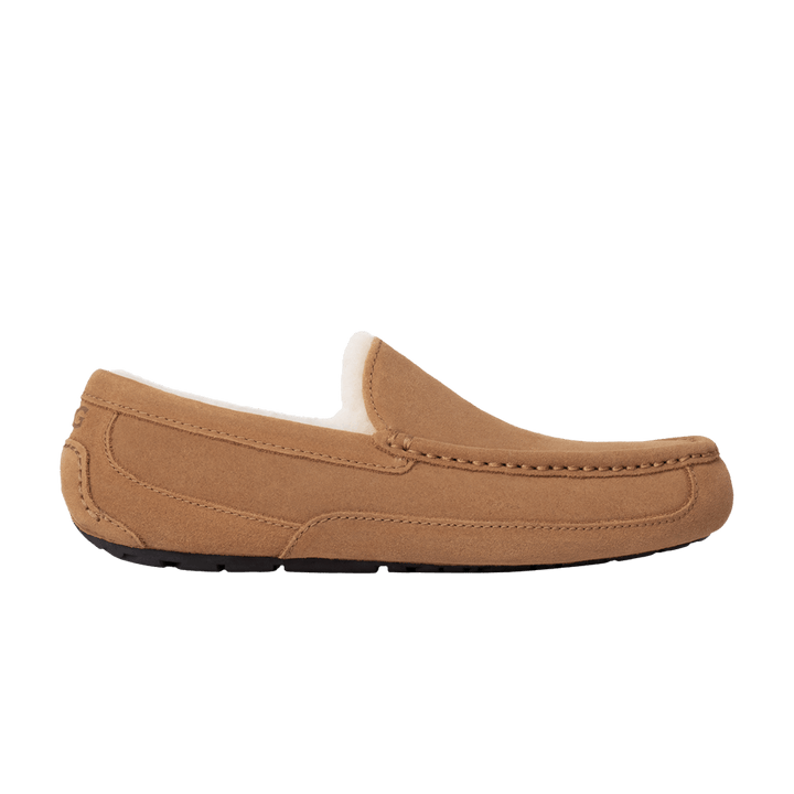 UGG ASCOT SLIPPER CHESTNUT