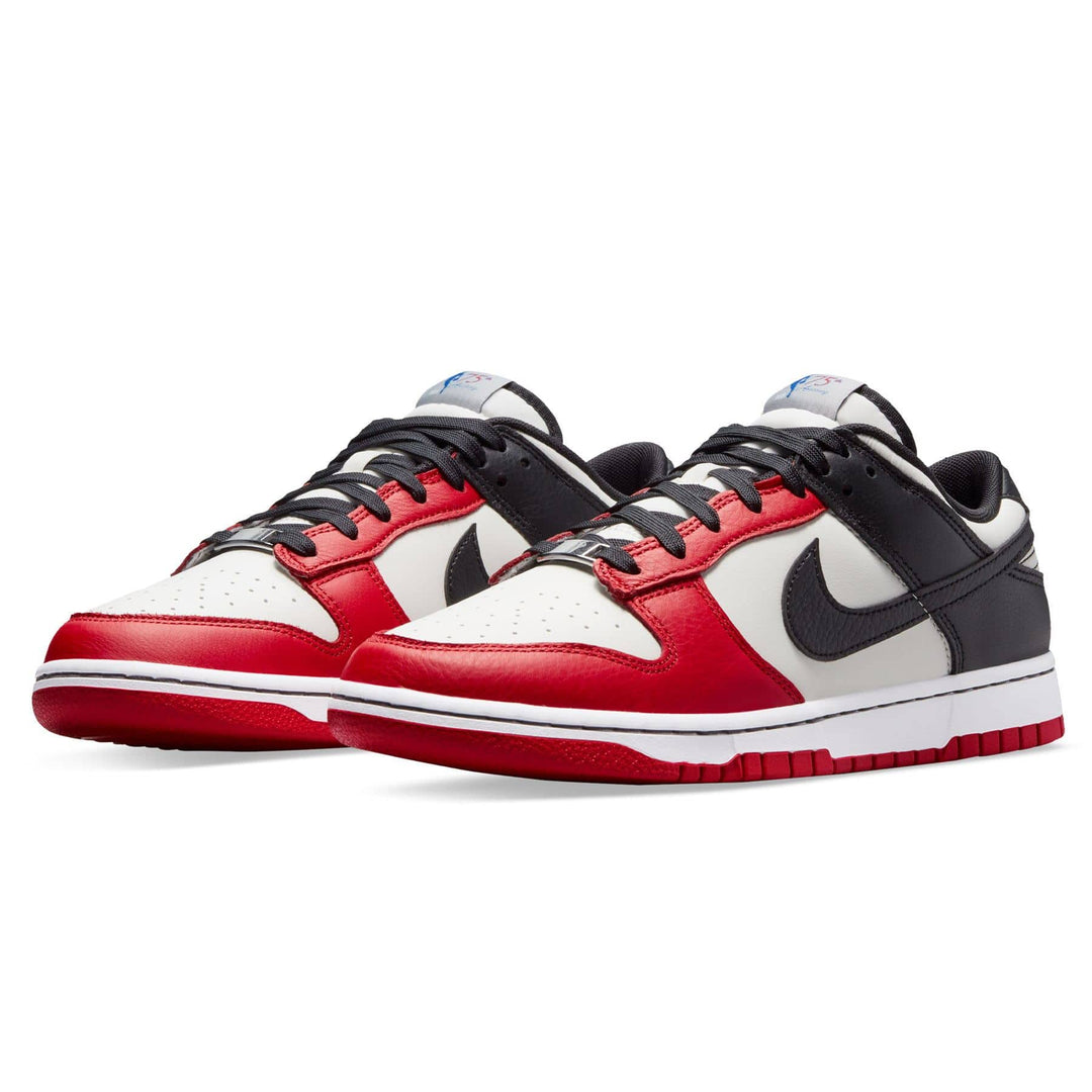 NBA X NIKE DUNK LOW EMB &