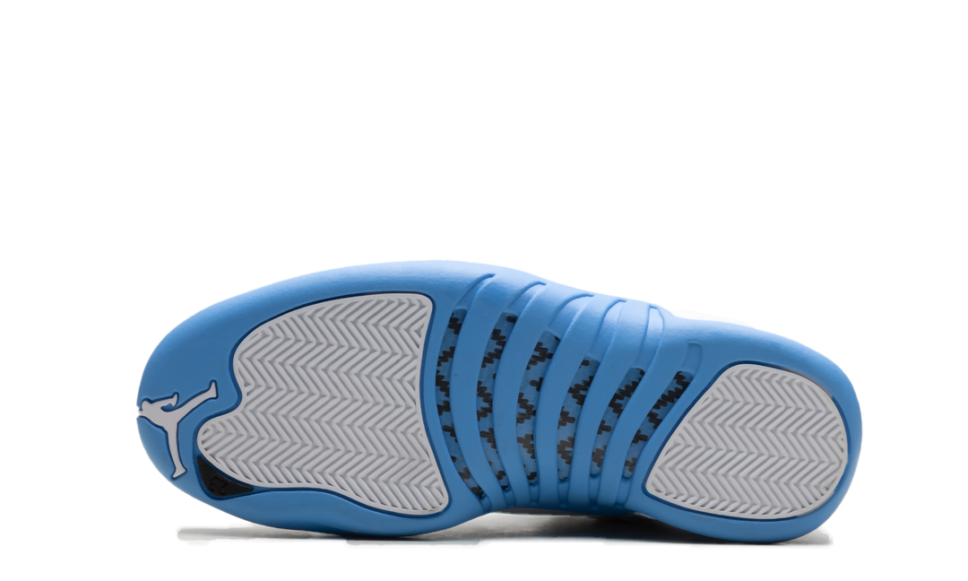 JORDAN 12 RETRO MELO (2025)