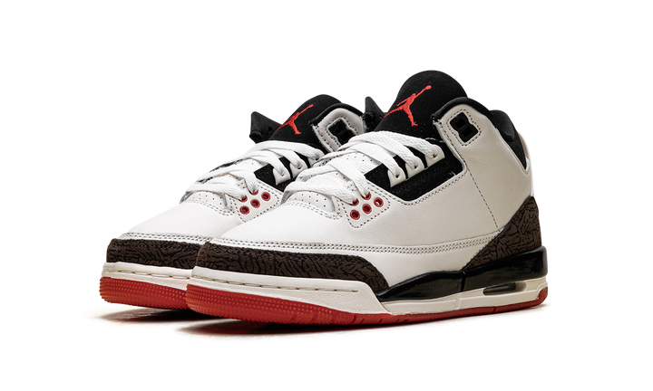JORDAN 3 RETRO WORLD&