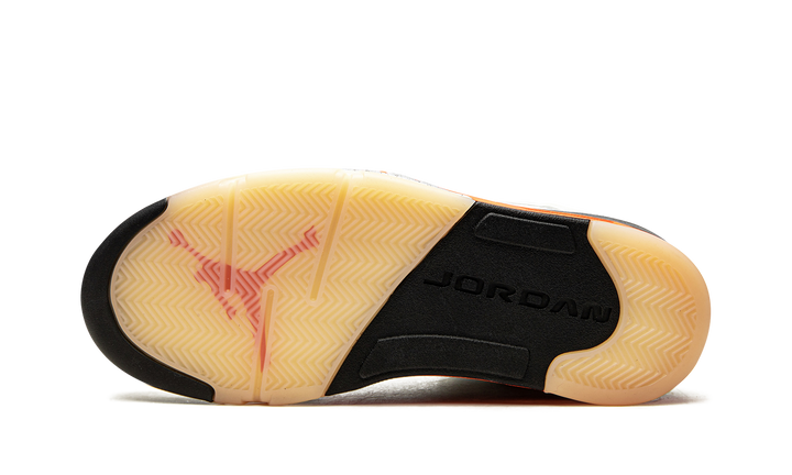 JORDAN 5 SHATTERED BACKBOARD
