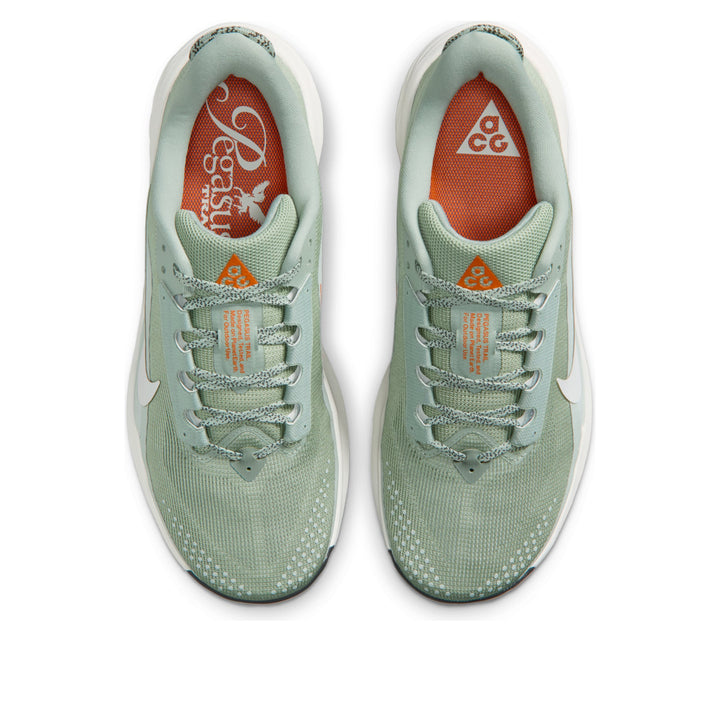 NIKE ACG PEGASUS TRAIL JADE HORIZON LIGHT SILVER