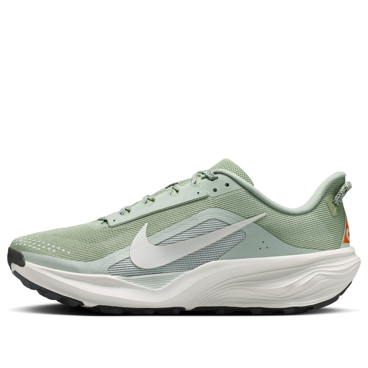 NIKE ACG PEGASUS TRAIL JADE HORIZON LIGHT SILVER