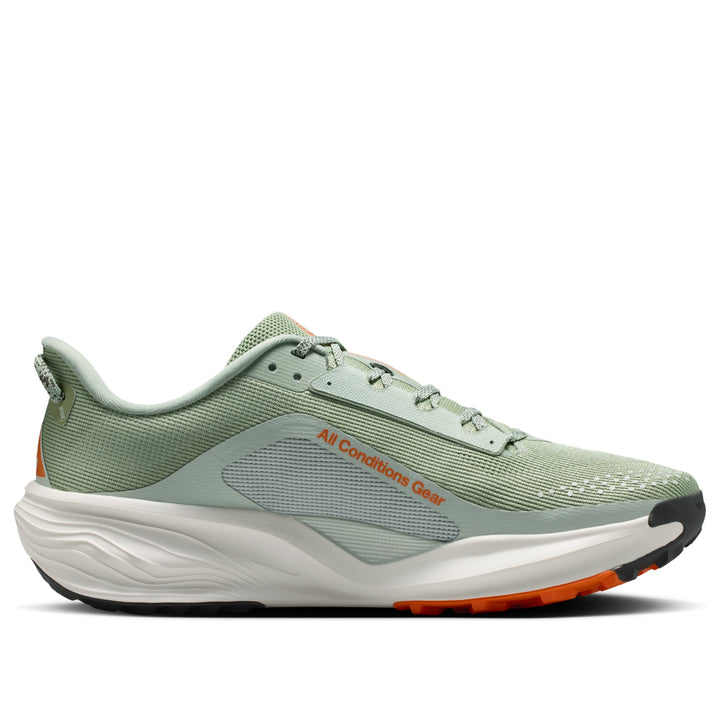 NIKE ACG PEGASUS TRAIL JADE HORIZON LIGHT SILVER