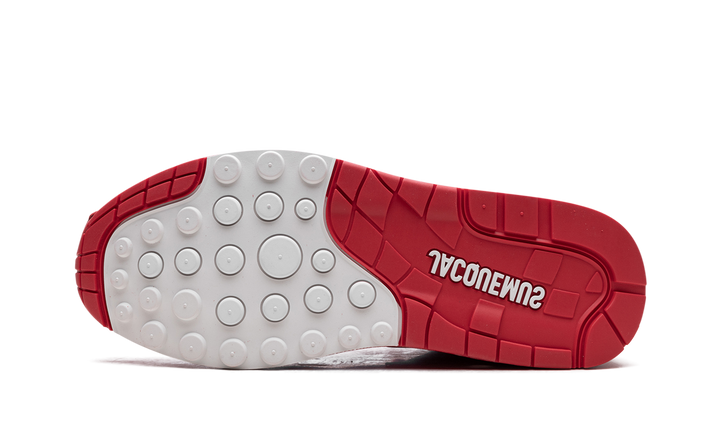 NIKE AIR MAX 1 &