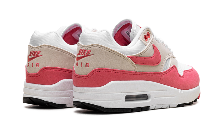 NIKE AIR MAX 1 ASTER PINK WOMENS