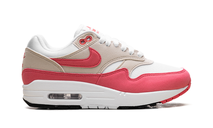 NIKE AIR MAX 1 ASTER PINK WOMENS