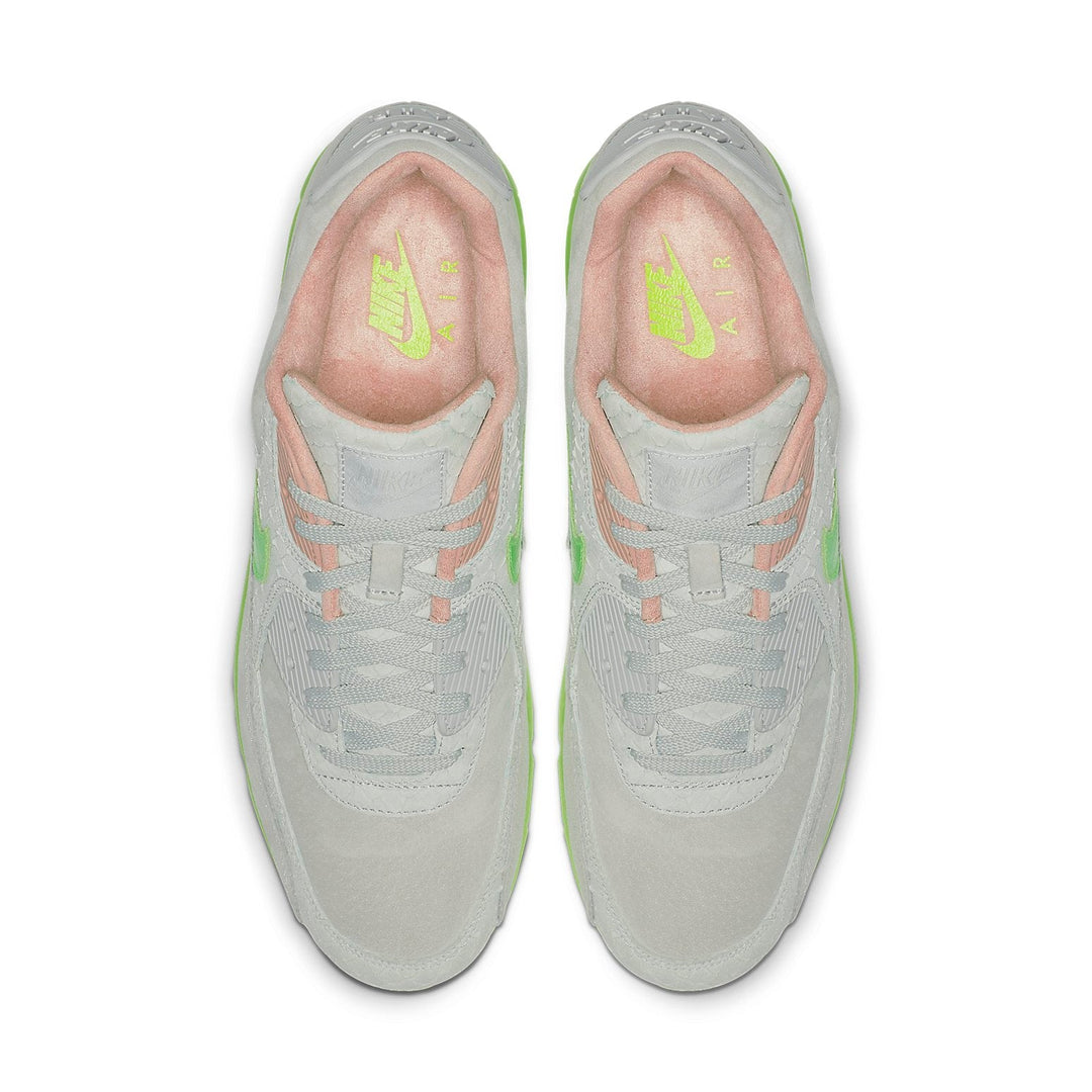 NIKE AIR MAX 90 PREMIUM NEW SPECIES