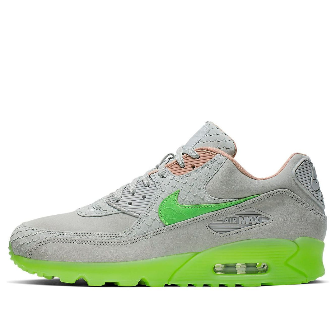 NIKE AIR MAX 90 PREMIUM NEW SPECIES