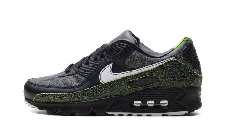 NIKE AIR MAX 90 TIEMPO 2005