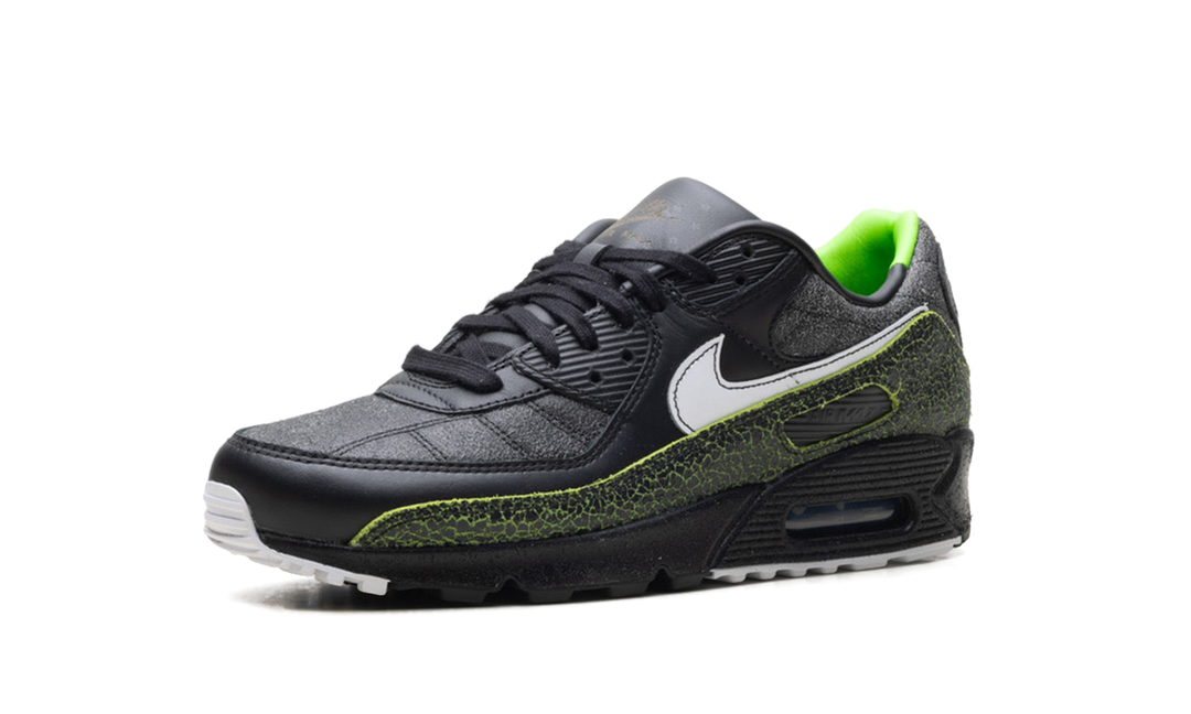 NIKE AIR MAX 90 TIEMPO 2005
