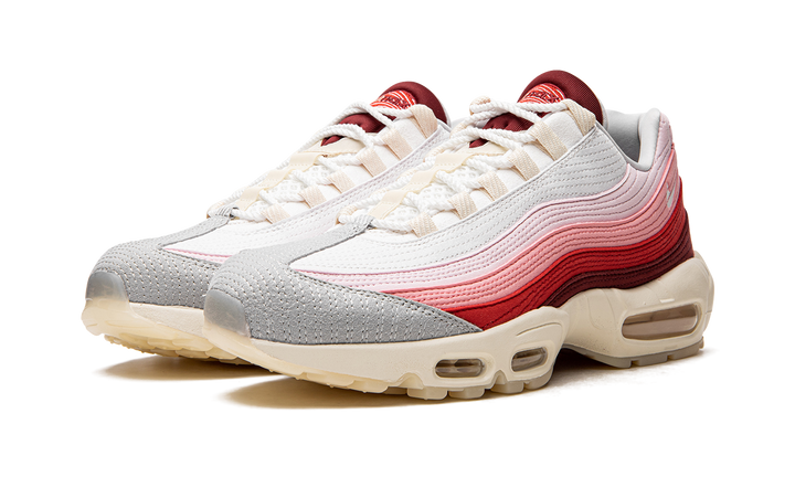 NIKE AIR MAX 95 ANATOMY OF AIR GID