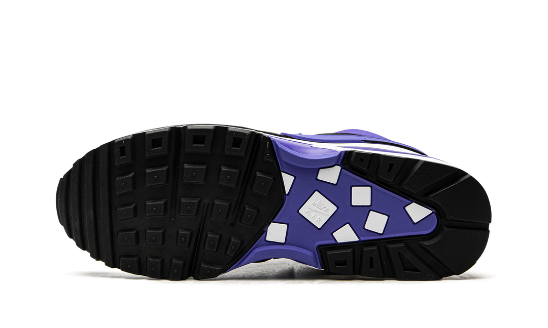 NIKE AIR MAX BW PERSIAN VIOLET