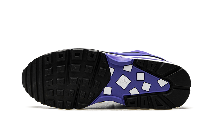 NIKE AIR MAX BW PERSIAN VIOLET