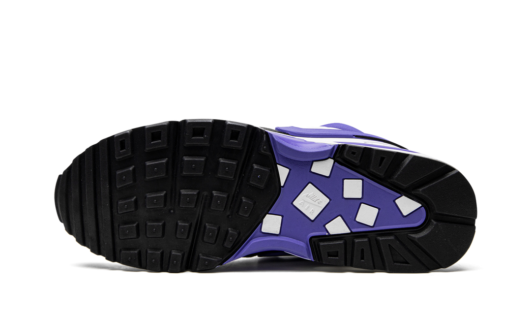 NIKE AIR MAX BW WHITE VIOLET