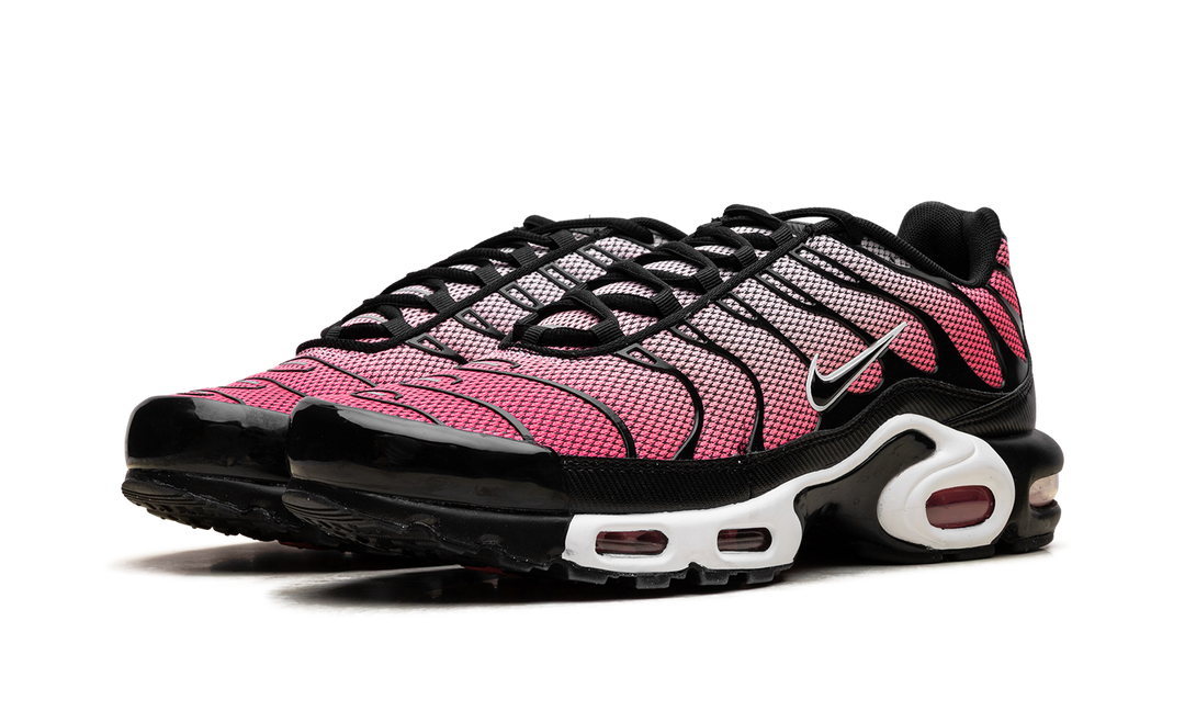 NIKE AIR MAX PLUS ALL DAY