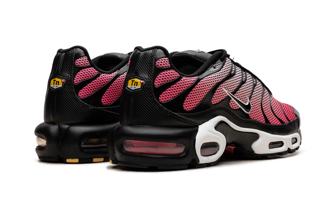 NIKE AIR MAX PLUS ALL DAY