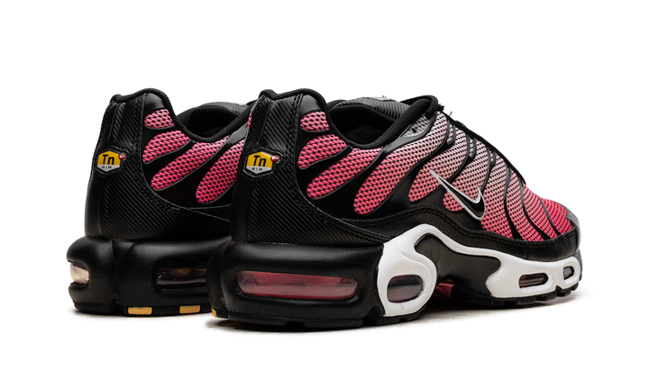 NIKE AIR MAX PLUS ALL DAY