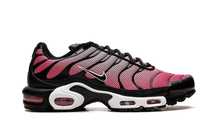 NIKE AIR MAX PLUS ALL DAY