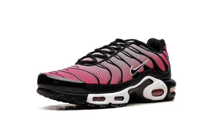 NIKE AIR MAX PLUS ALL DAY